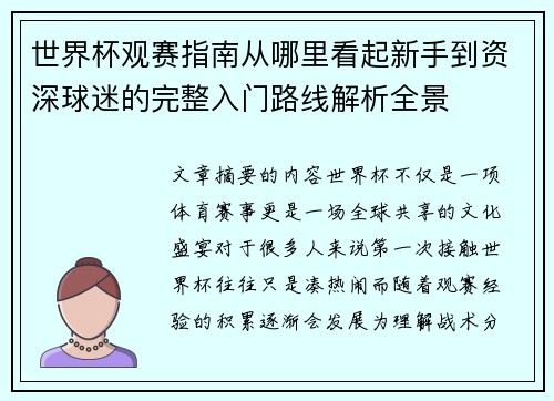 世界杯观赛指南从哪里看起新手到资深球迷的完整入门路线解析全景