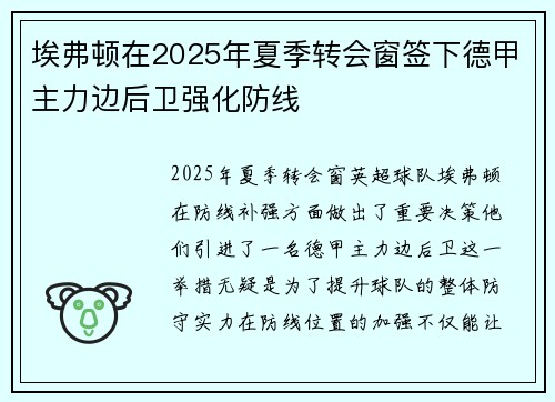 埃弗顿在2025年夏季转会窗签下德甲主力边后卫强化防线 埃弗顿在2025年夏季转会窗签下德甲主力边后卫强化防线